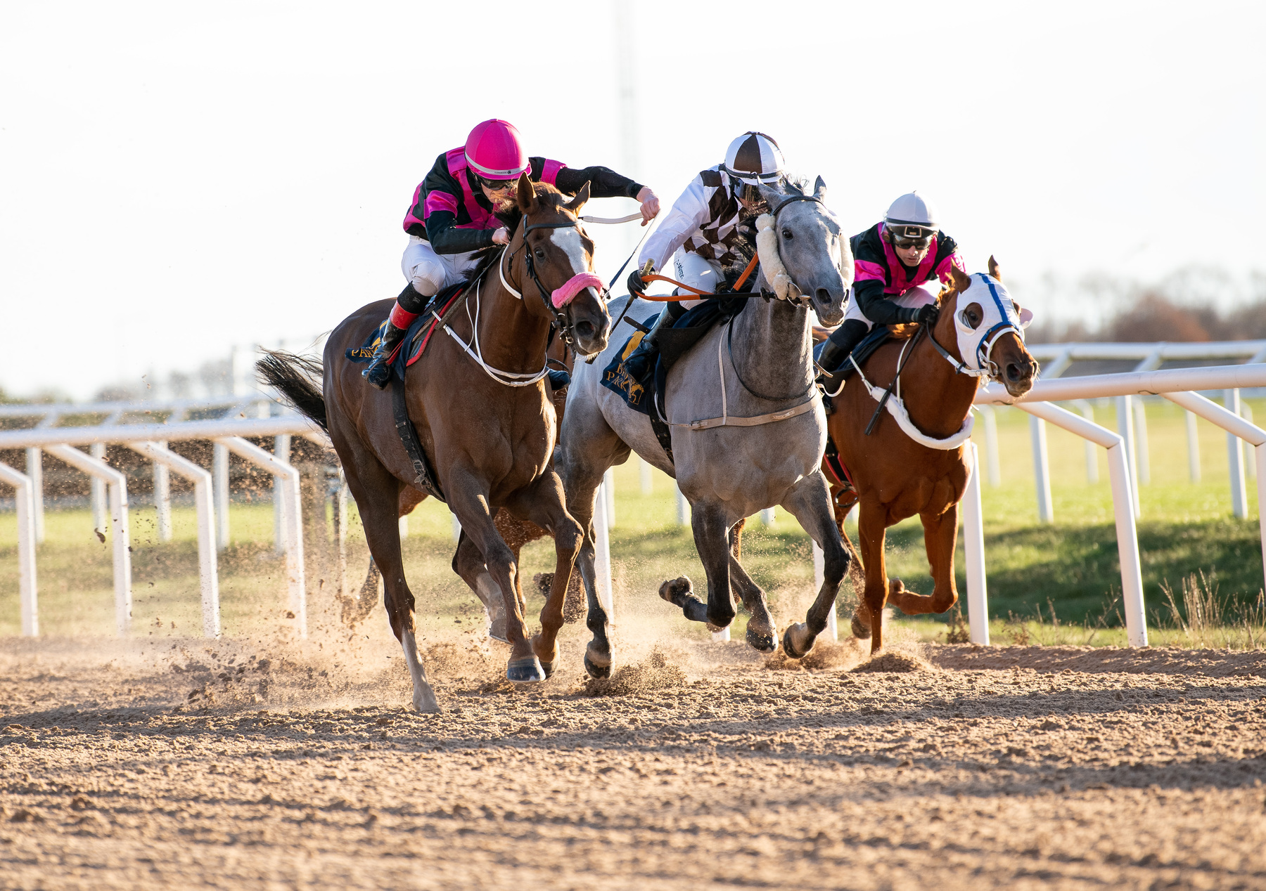 Forward Focus tar årets första seger på Bro Park