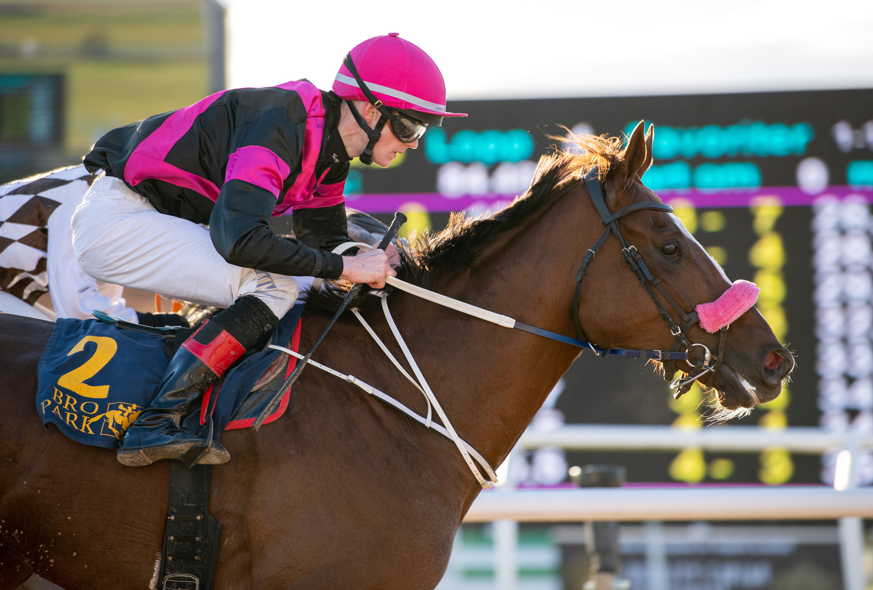 Forward Focus med ryttaren Jacob Kvisla