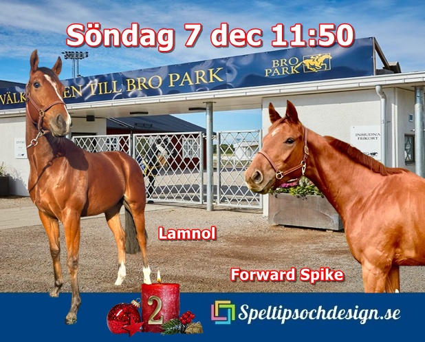 Lamnol och Forward Spike inleder årets sista tävlingsdag på Bro Park