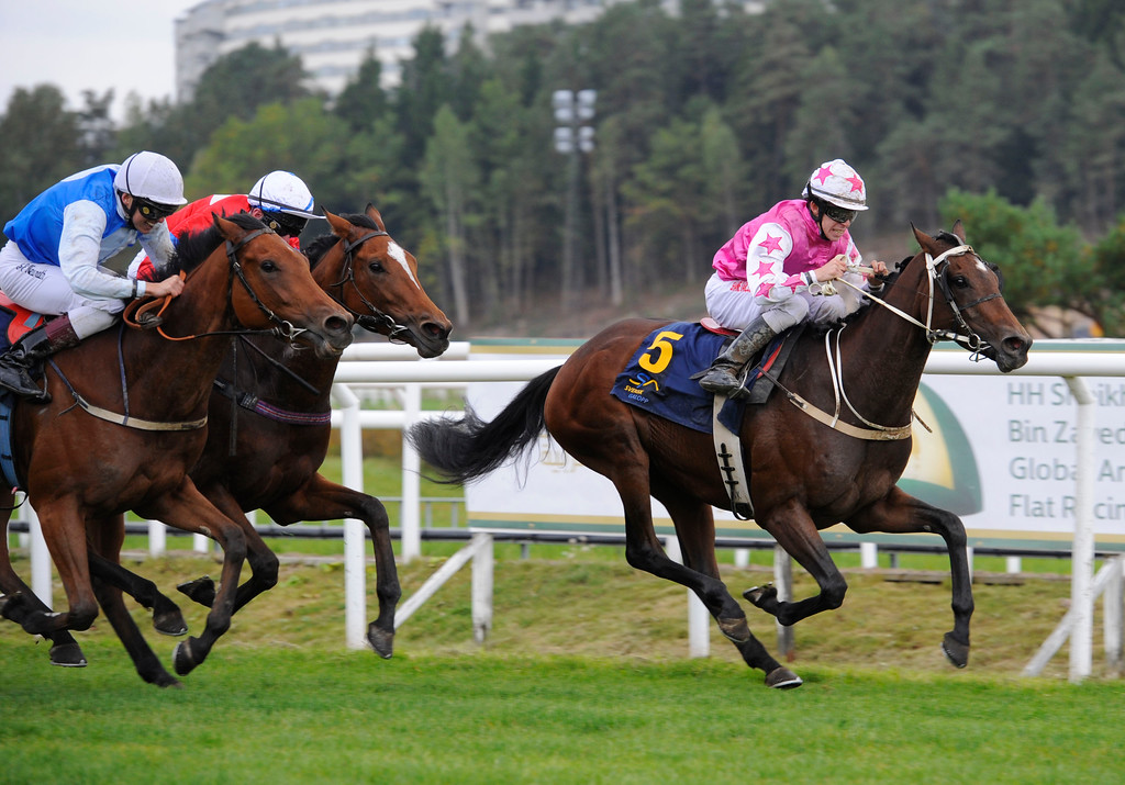 Angel Light - mamma på Täby Galopp