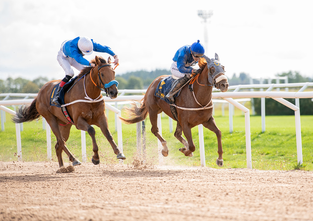 Daybreezer i upploppsduell med stallkompisen Zandra Bee som vann med ett huvud