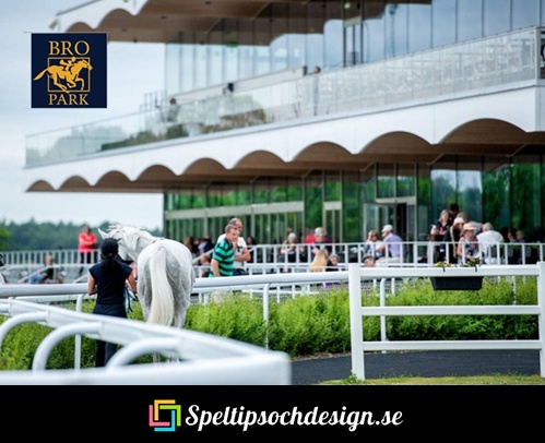 Hemmabanan Bro Park för flera av våra galopphästar - Speltipsochdesign.se