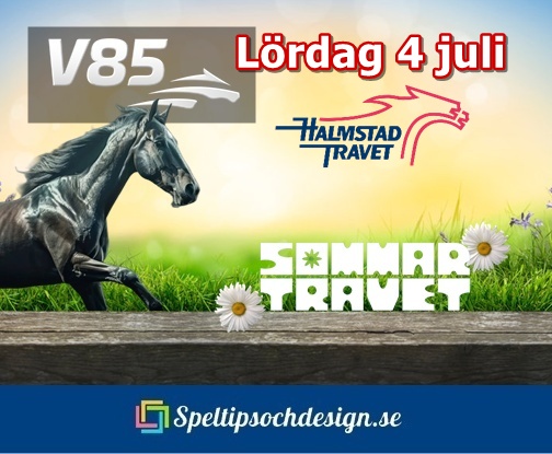 ta rygg på TravBet V85 för speltips till V85 - Andelssystem och ett Chanssystem med sänkt insats. Glöm inte våra Platsspel med fasta odds - nu både hos Svenska Spel Sport och ATG Sport - Speltipsochdesign.se