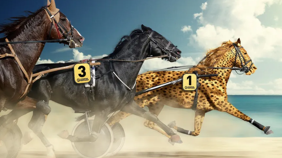 Dagens Platsspel har laddat med fina odds till Halmstad lördag 4 juli Sprintermästarhelgen