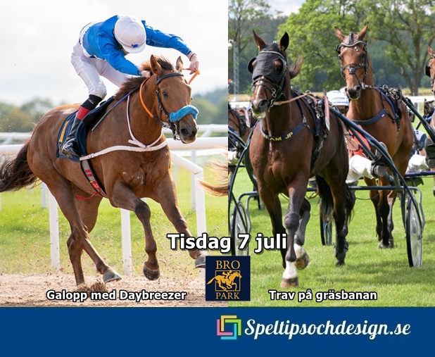 Hästsportens dag på Bro Park 7 juli med galopp och trav med tre av våra egna galopphästar till start - Speltipsochdesign.se