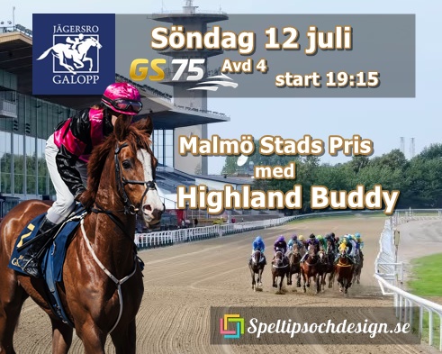 Malmö Stads Pris avgörs på Jägersro Derbydagen 12 juli med vår andelshäst Highland Buddy till start