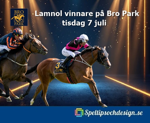 Lamnol segrade på Bro Parks gräsbana 7 juli Speltipsochdesign.se hejade på vår andelshäst
