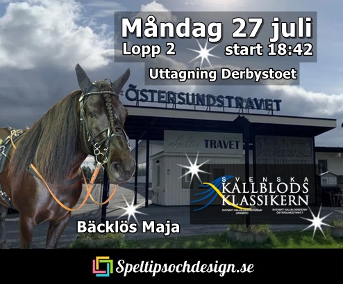 Kallblodsklassikern Derbystoet - uttagningslopp med vår andelshäst Bäcklös Maja måndag 27 juli Östersund och tränare Wiktor Kylin-Blom i sulkyn