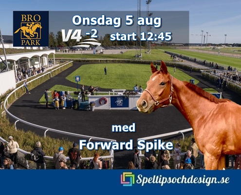 Forward Spike är vår andre andelshäst ut på Bro Parks lunchgalopp onsdag 5 augusti - Speltipsochdesign.se