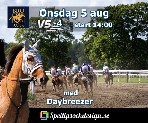 Sist ut denna lunchgalopp på Bro Park onsdag 5 augusti är vår käre andelshäst Daybreezer - Speltipsochdesign.se bänkar sig på lunchrestaurangen och njuter av våra fina galopphästar