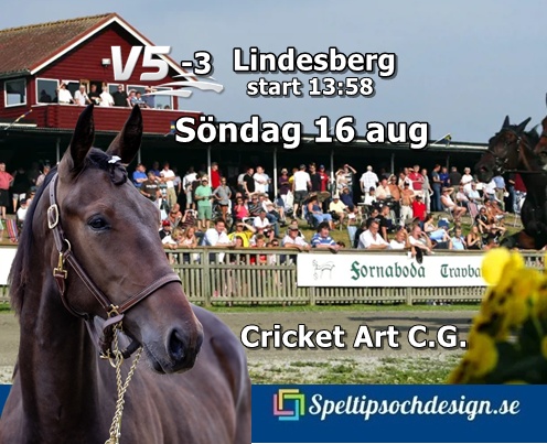 Vår andelshäst Cricket Art C.G. gör en söndagsutflykt till Fornaboda travbana i Lindesberg för att bättra på poängkontot - Speltipsochdesign.se