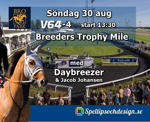 Vår snygge Daybreezer ska ut i storloppet Breeders Trophy Mile V64-4 Speltipsochdesign.se