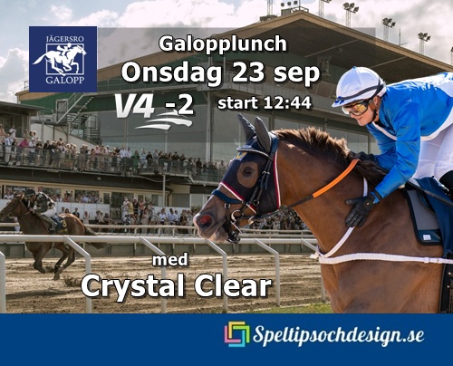 vår andelshäst Crystal Clear gör ett gästspel på Jägersro Galopp onsdag 23 september - speltipsochdesign.se