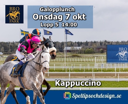 Vår andelshäst Kappuccino till start på lunchgaloppen Bro Park 7 oktober - speltipsochdesign.se