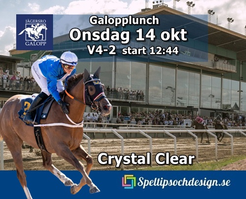 Vår andelshäst Crystal Clear till start på lunchgaloppen Jägersro 14 oktober - speltipsochdesign.se