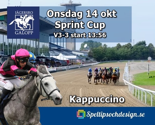 Vår andelshäst Kappuccino till start på lunchgaloppen Jägersro onsdag 14 oktober - speltipsochdesign.se