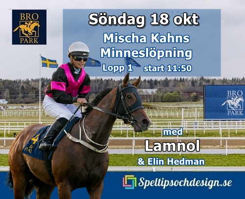 Lamnol startar i storloppet Mischa Kahns Minneslöpning på Bro Park 18 oktober - Speltipsochdesign.se