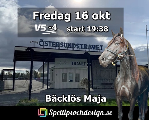 Bäcklös Maja går ut i V5-4 på Östersund fredag 16 oktober - Speltipsochdesign.se