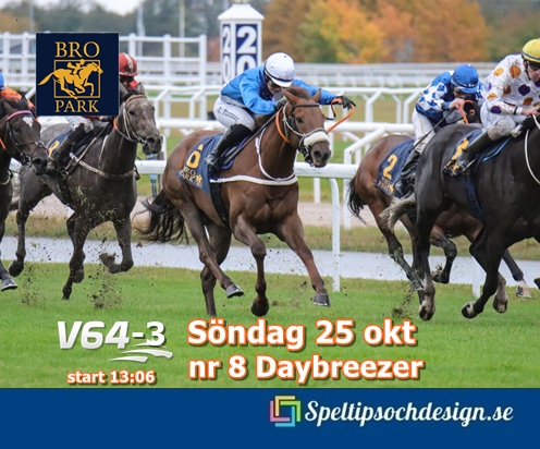 Daybreezer krigar vidare på Bro Park söndag 25 oktober i V64-3 - Speltipsochdesign.se